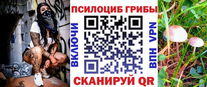 где найти Кашира Псилоцибиновые грибы ЛСД