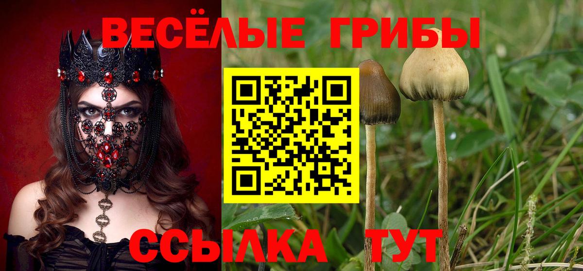 Псилоцибиновые грибы GOLDEN TEACHER  Вход с VPN  Кашира 