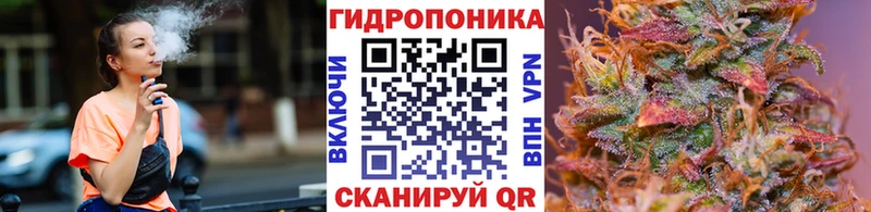 Канабис конопля  где купить наркотик  Кашира 